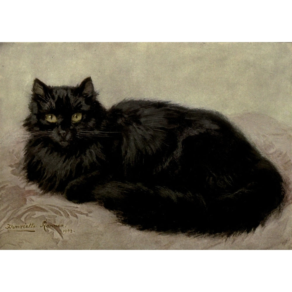 The Book of the Cat 1903 Black cat Poster Print by Henriette Ronner-Knip Image 2