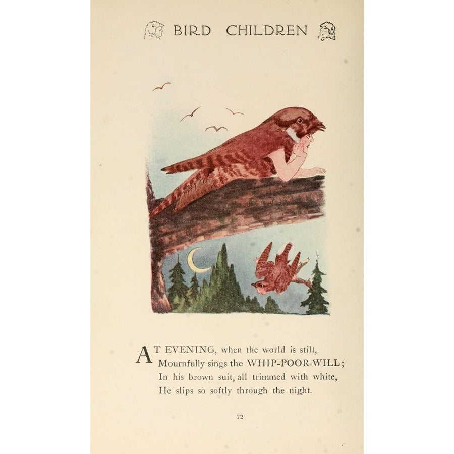 Bird Children 1912 Whip-poor-will Poster Print by M.T. Ross Image 1