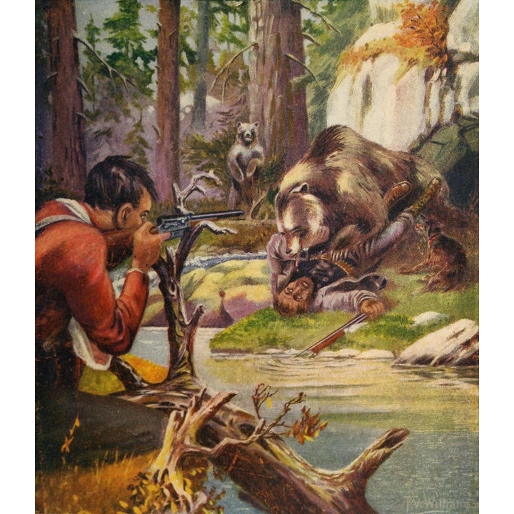 Rod and Gun in Canada 1916-22 Bear attack Poster Print by F.V. Williams Image 2