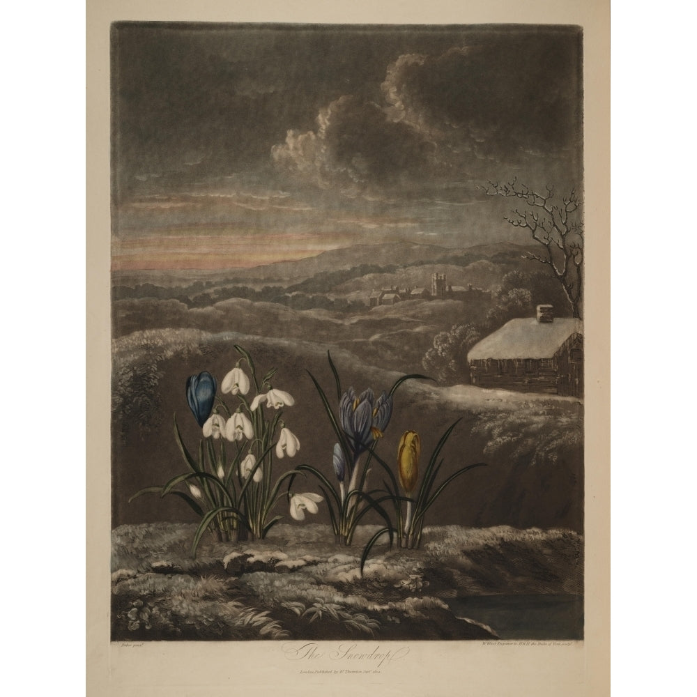 The Temple of Flora 1807 The Snowdrop Poster Print by Abraham Pether Image 2