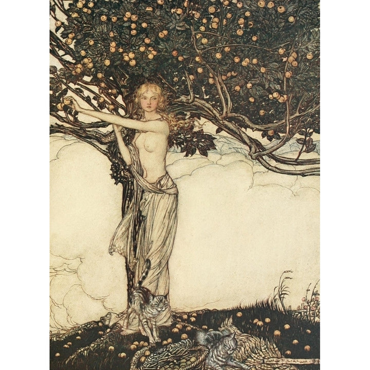 Rhinegold and the Valkyrie 1910 Freia the fair one Poster Print by A. Rackham Image 2