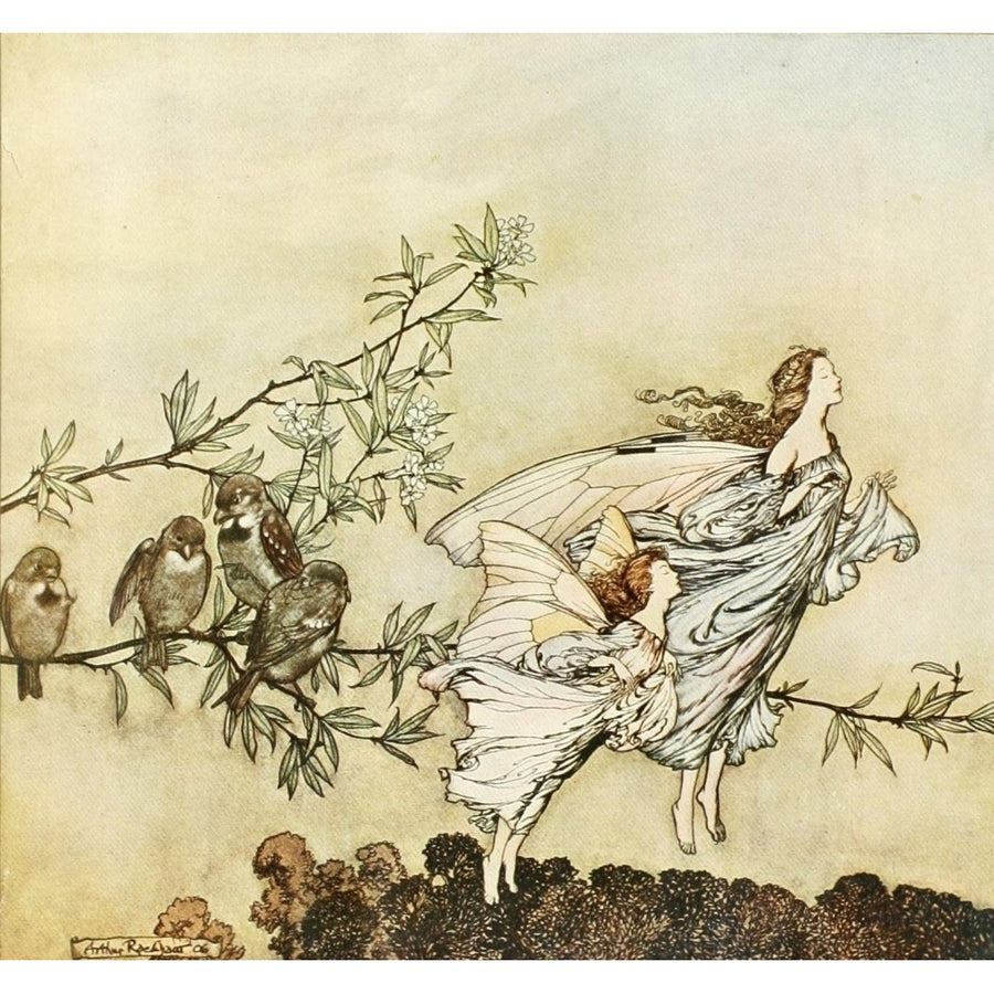 Peter Pan in Kensington Gardens 1912 The fairies have their tiffs with the birds Poster Print by Arthur Rackham Image 1