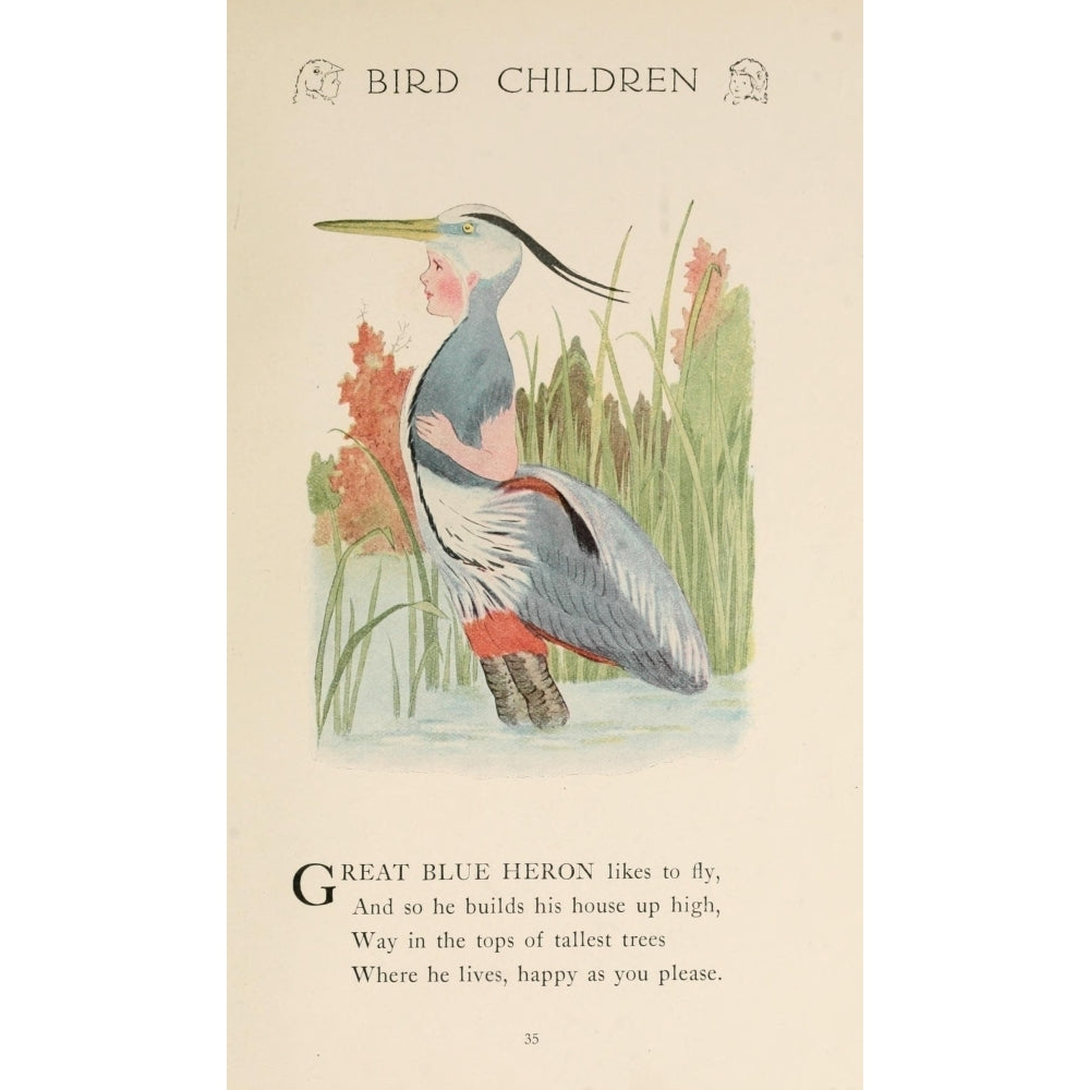 Bird Children 1912 Great Blue Heron Poster Print by M.T. Ross Image 2