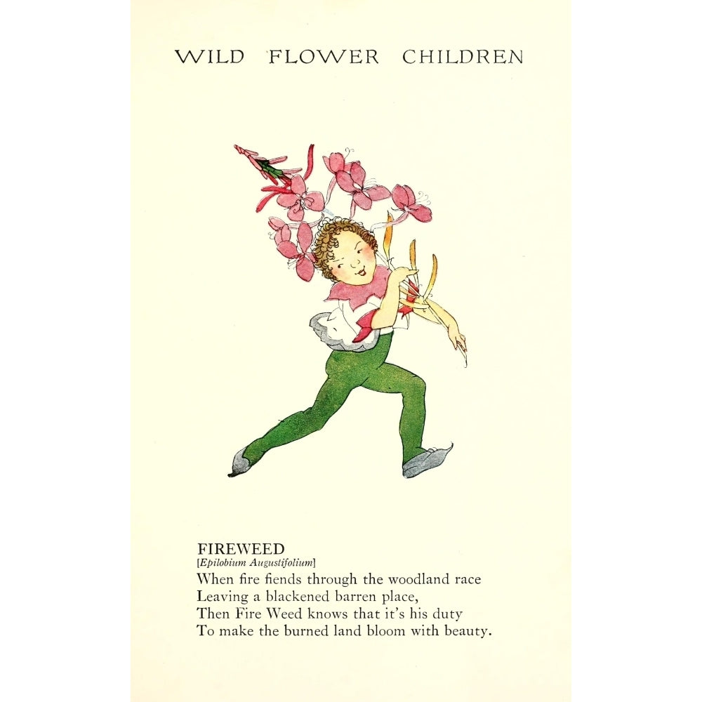 Wild Flower Children c.1918 Fireweed Poster Print by Janet Laura Scott Image 2