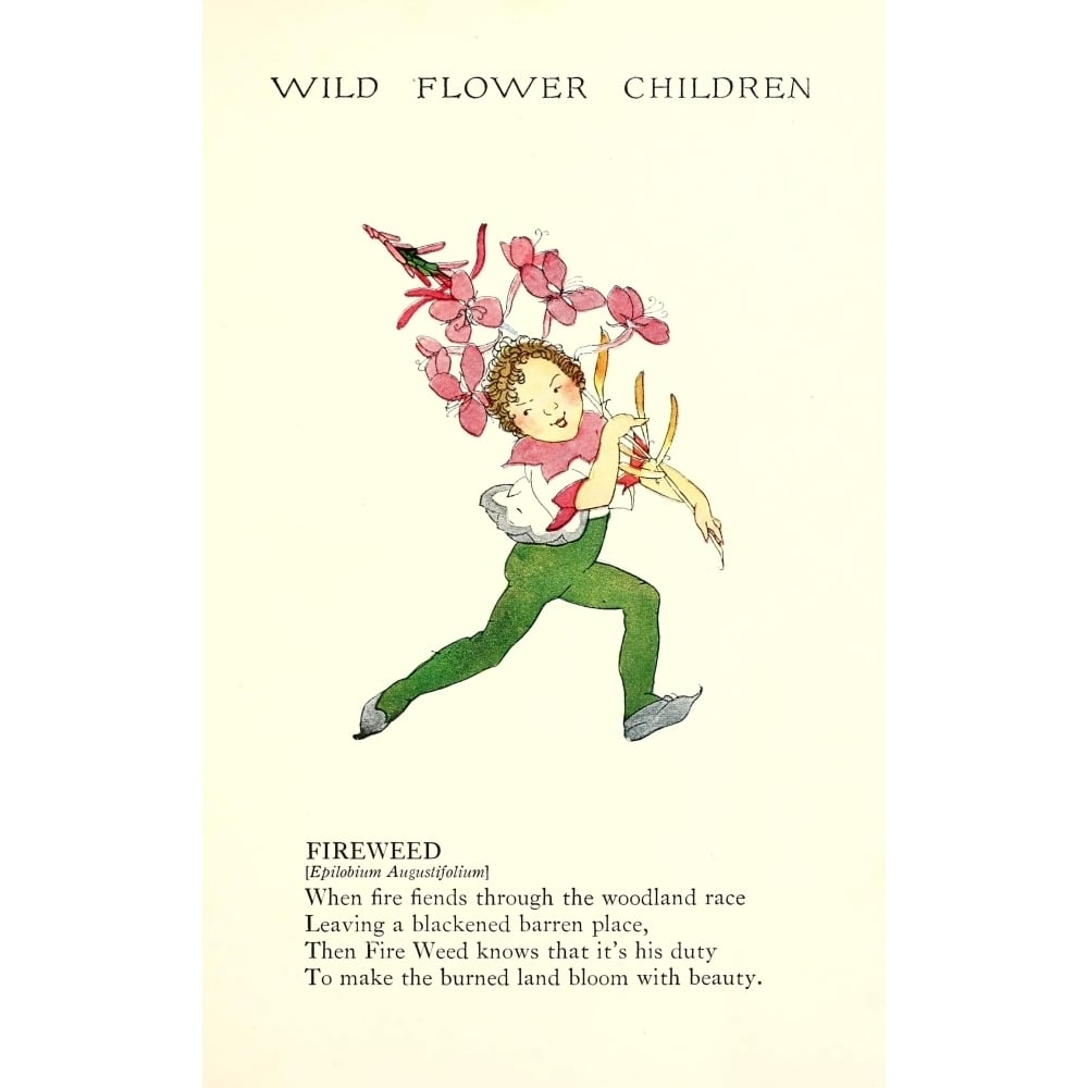 Wild Flower Children c.1918 Fireweed Poster Print by Janet Laura Scott Image 1