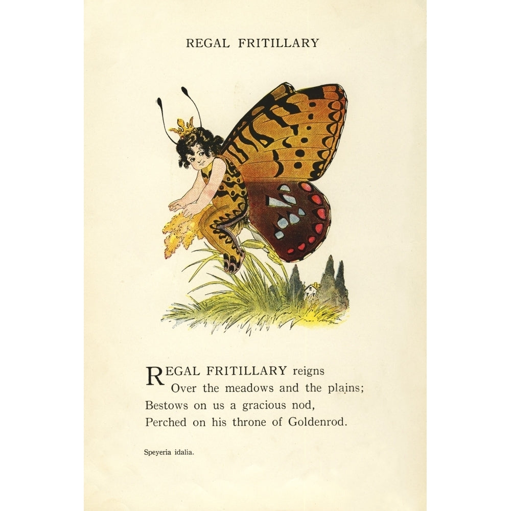 Butterfly Babies 1914 Regal Fritillary Poster Print by M.T. Ross Image 2