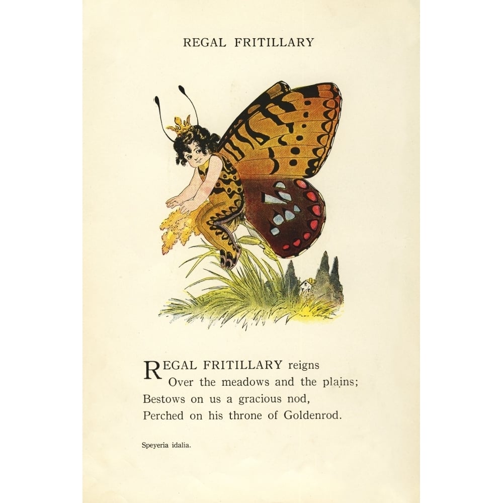 Butterfly Babies 1914 Regal Fritillary Poster Print by M.T. Ross Image 1