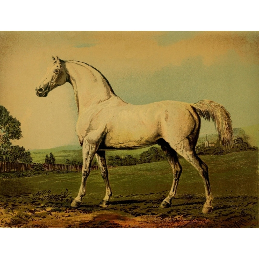 The Book of the Horse 1880 Mambrino Poster Print by George Stubbs Image 2