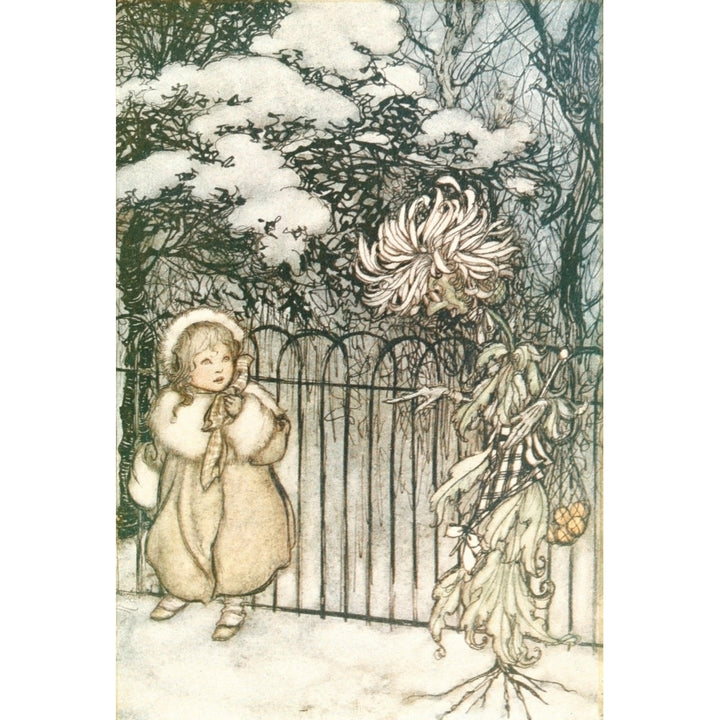 Peter Pan in Kensington Gardens 1912 Talking to a chrysanthemum Poster Print by Arthur Rackham Image 2