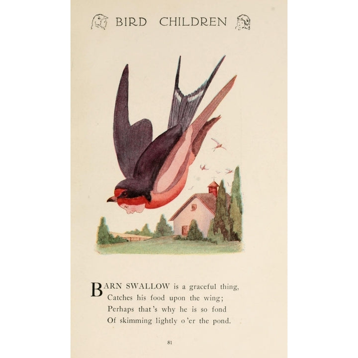 Bird Children 1912 Barn Swallow Poster Print by M.T. Ross Image 2