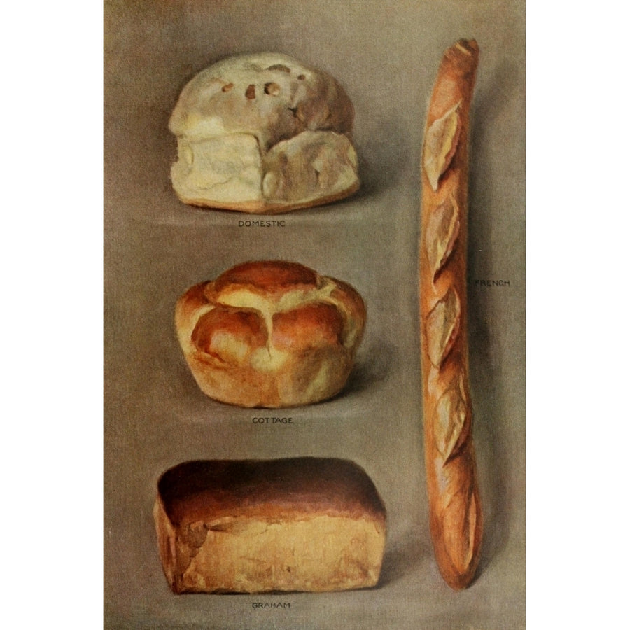 The Grocers Encyclopedia 1911 Bread Poster Print by Unknown Image 1