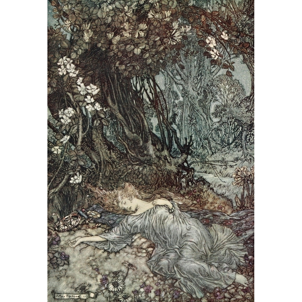 A Midsummer Nights Dream 1908 Titania lying asleep Poster Print by Arthur Rackham Image 2