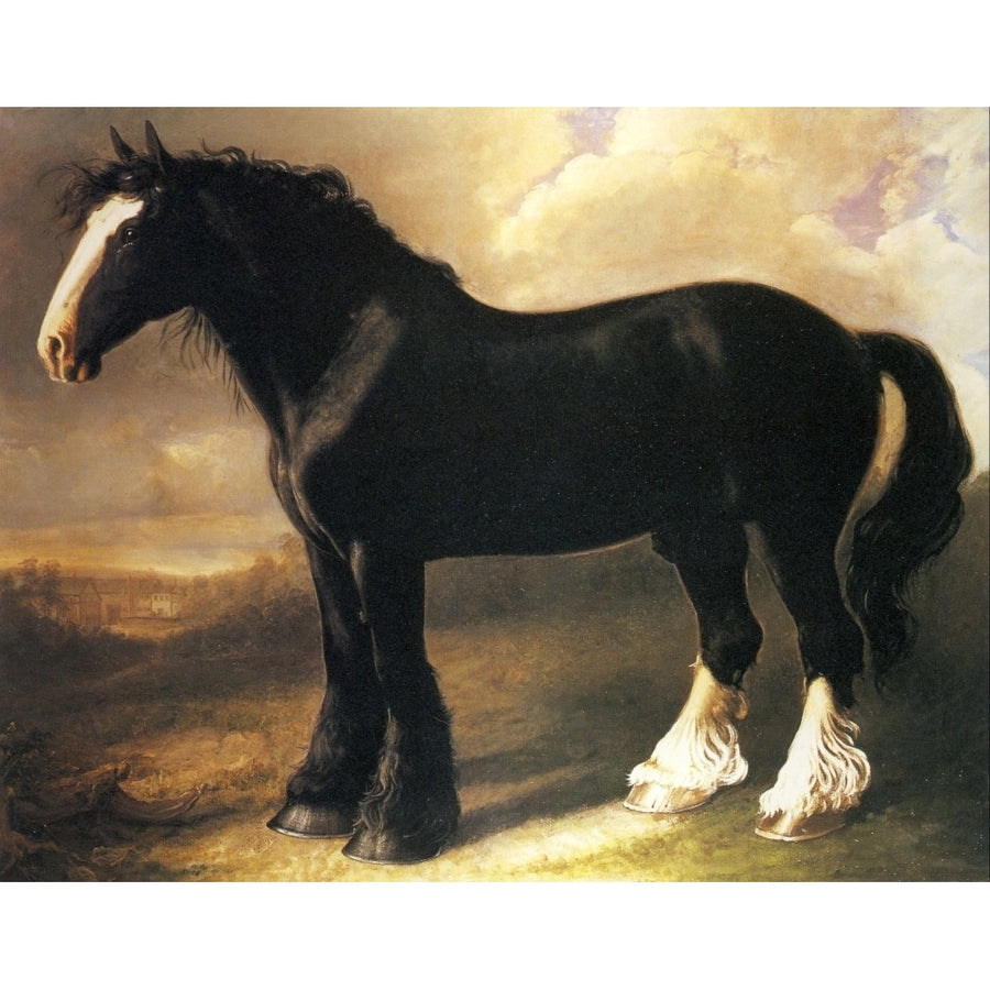 The Old English Black Horse c.1840 Poster Print by William Shiels Image 1