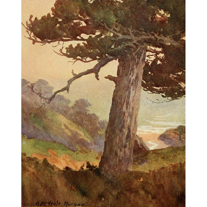 On Sunset Highways 1921 Gate of Val Paiso Canyon Monterey Poster Print by Mary DeNeale Morgan Image 1