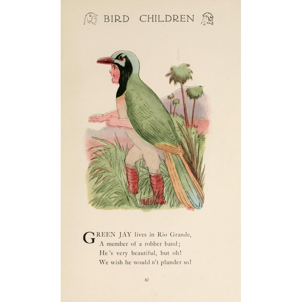 Bird Children 1912 Green Jay Poster Print by M.T. Ross Image 2