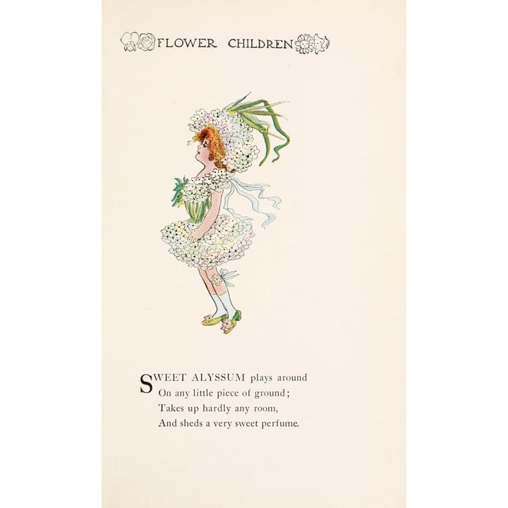 Flower Children 1910 Sweet Alyssum Poster Print by M.T. Ross Image 1