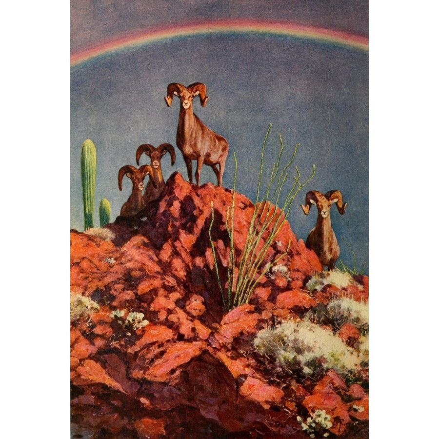 Camp-Fires on Desert and Lava 1908 Poster Print by Carl Rungius Image 1