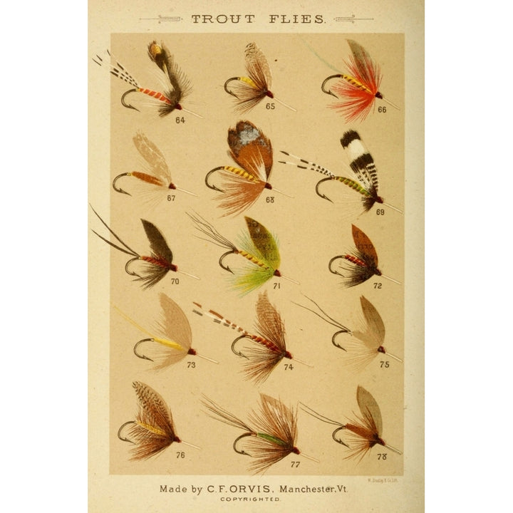 Fishing with the Fly 1883 Trout Flies 5 Poster Print by Unknown Image 1