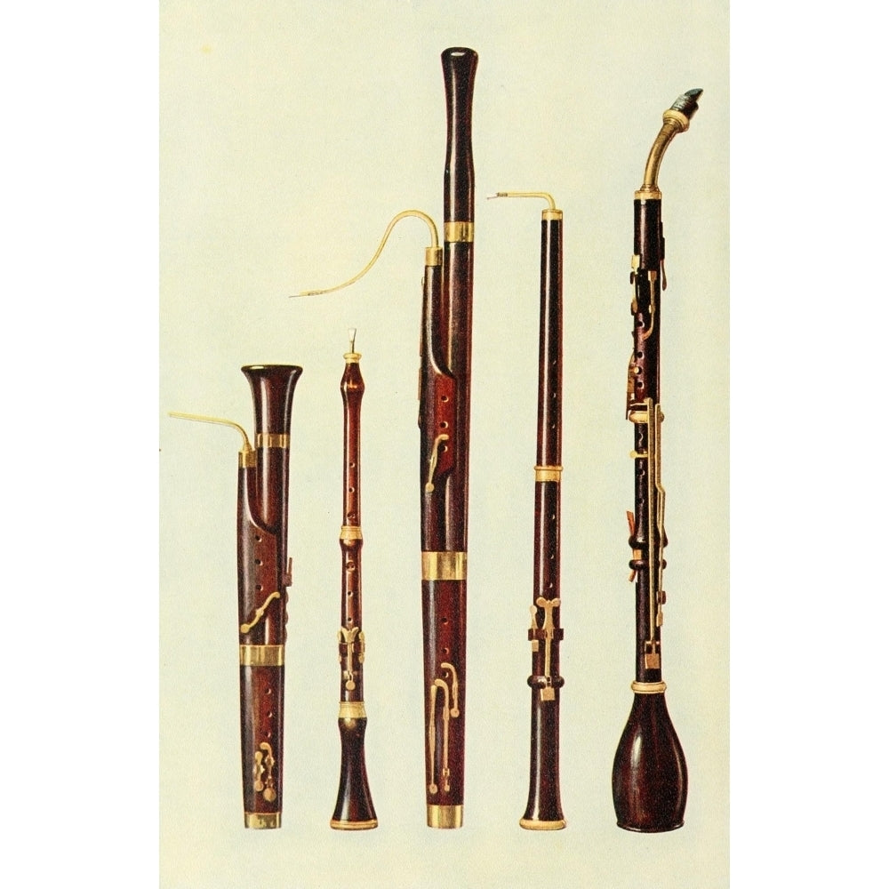 Musical Instruments 1921 Dolciano Oboes Bassoon Basset Horn Poster Print by William Gibb Image 2