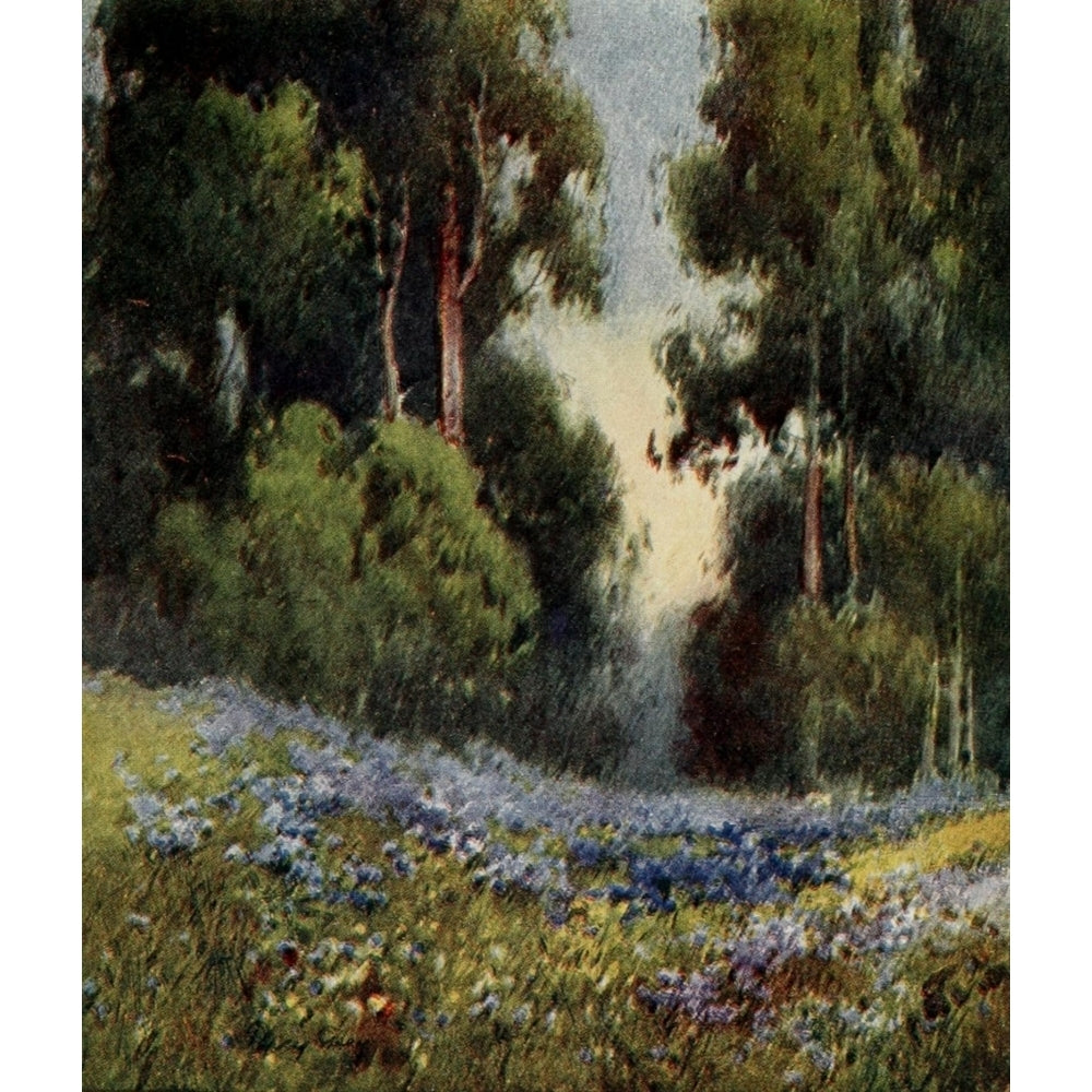 On Sunset Highways 1921 A forest glade California Poster Print by Henry Percy Gray Image 1