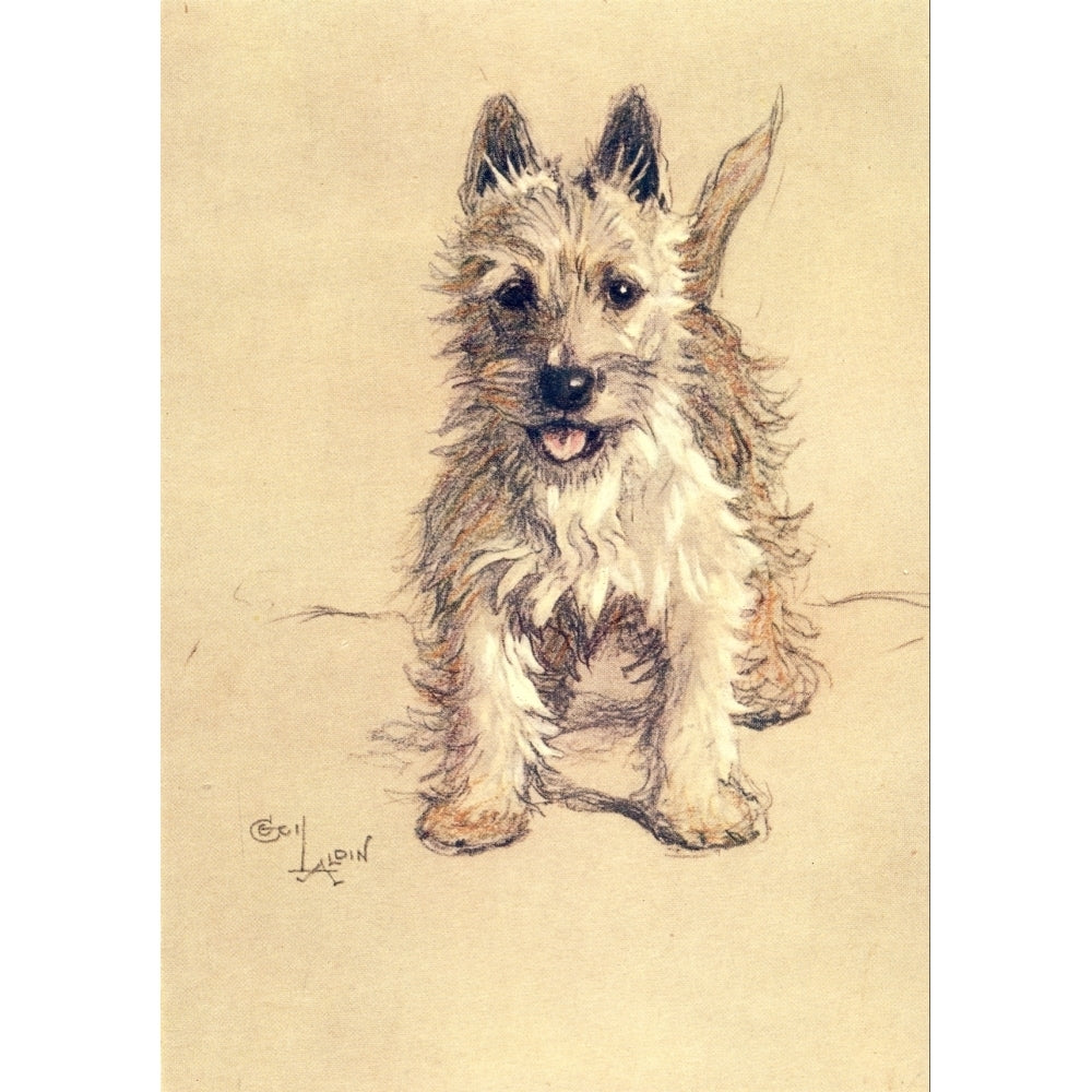 A Dozen Dogs or So 1928 Westie Poster Print by Cecil Aldin Image 2