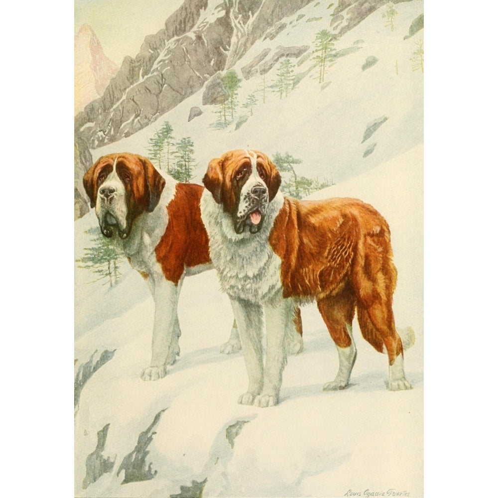 Book of Dogs 1919 St. Bernard Poster Print by L.A. Fuertes Image 1