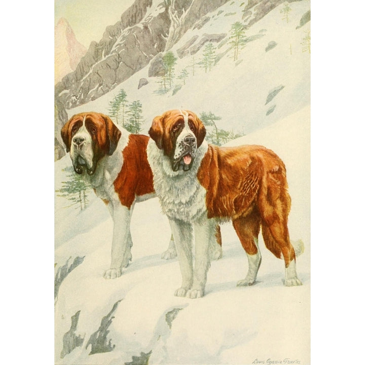 Book of Dogs 1919 St. Bernard Poster Print by L.A. Fuertes Image 2