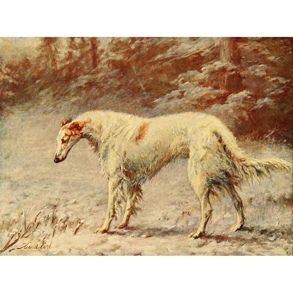 Book of the Dog 1911 Borzoi Poster Print by Maud Earl Image 1