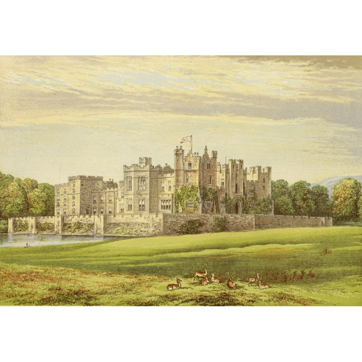 Views of Seats 1880 Raby Castle Poster Print by A.F. Lydon Image 1