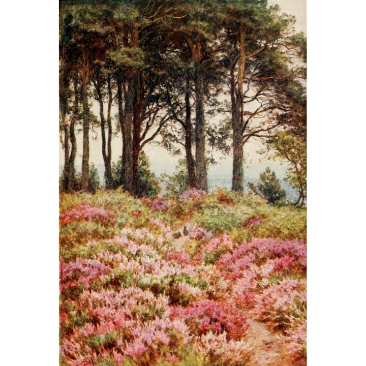 The Temple of the Winds Poster Print by Helen Allingham Image 2