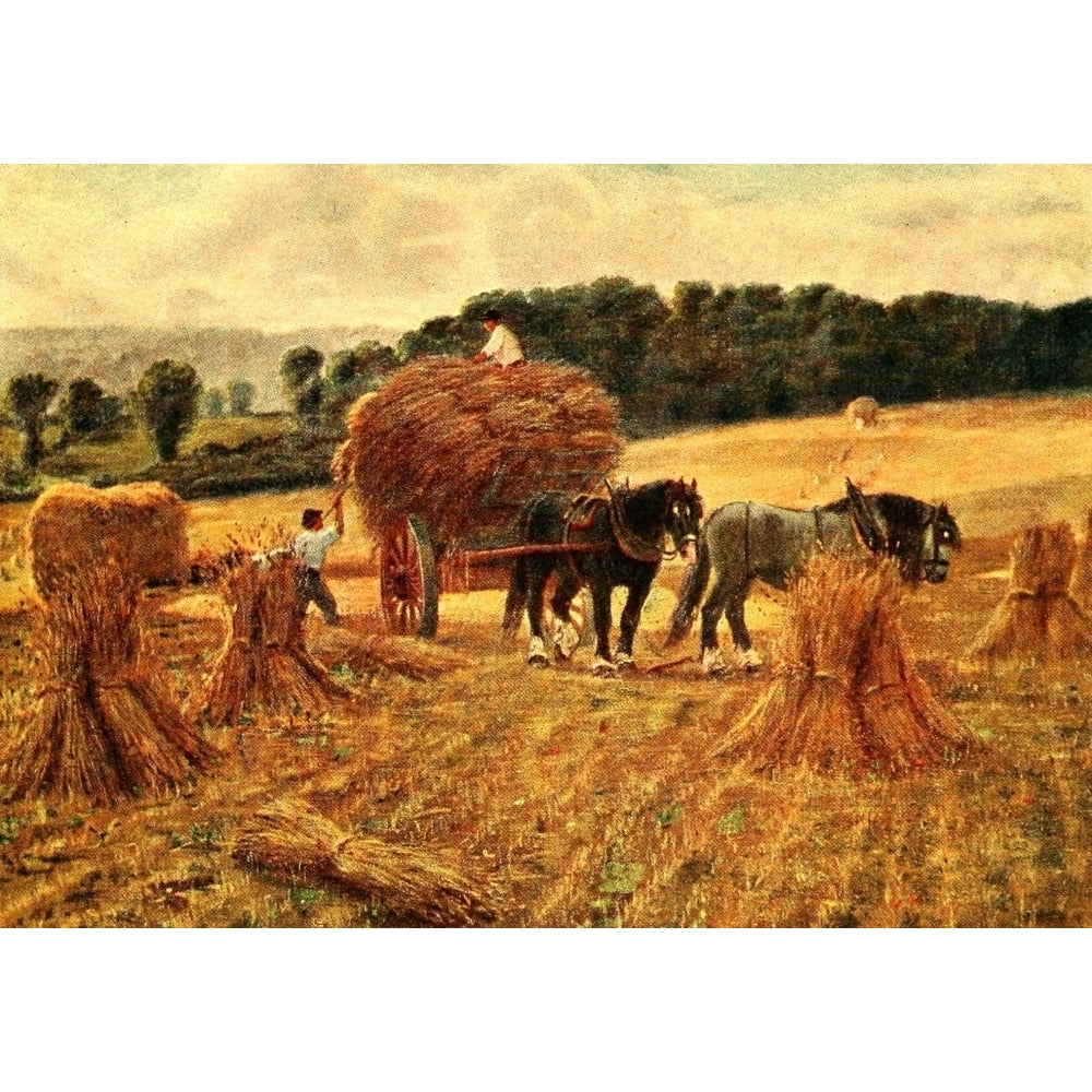 British Highways and Byways 1908 Harvesting in Hertfordshire Poster Print by Alfred Elias Image 1