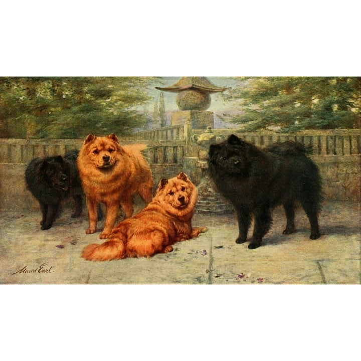 Book of the Dog 1911 Chow-chows Poster Print by Maud Earl Image 1