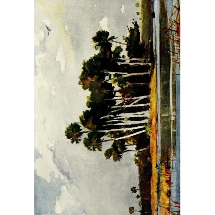 The Century Magazine 1905 Homosassa River Florida Poster Print by Winslow Homer Image 1