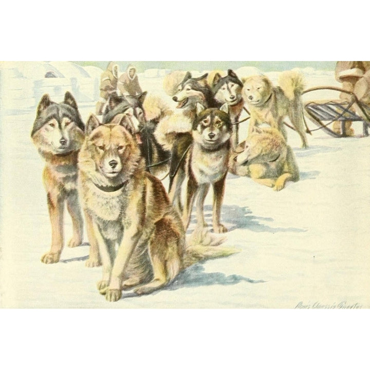 Book of Dogs 1919 Alaskan Eskimo Dogs Poster Print by Louis Agassiz Fuertes Image 2