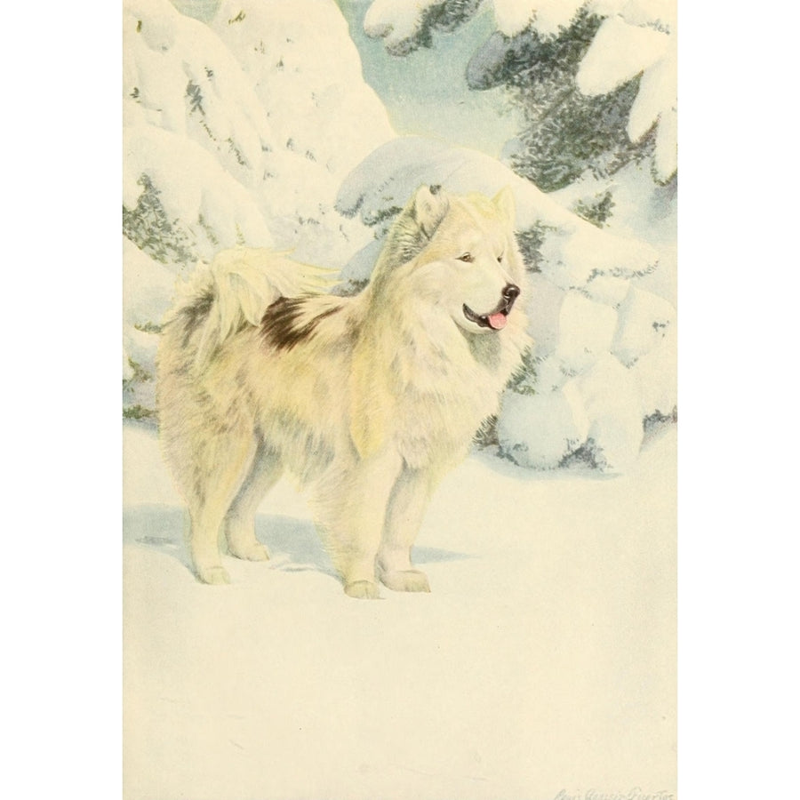 Book of Dogs 1919 North Greenland Eskimo Poster Print by Louis Agassiz Fuertes Image 1