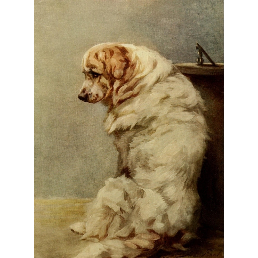 Power of the Dog 1910 Pyrenean Mountain Dog Poster Print by Maud Earl Image 1