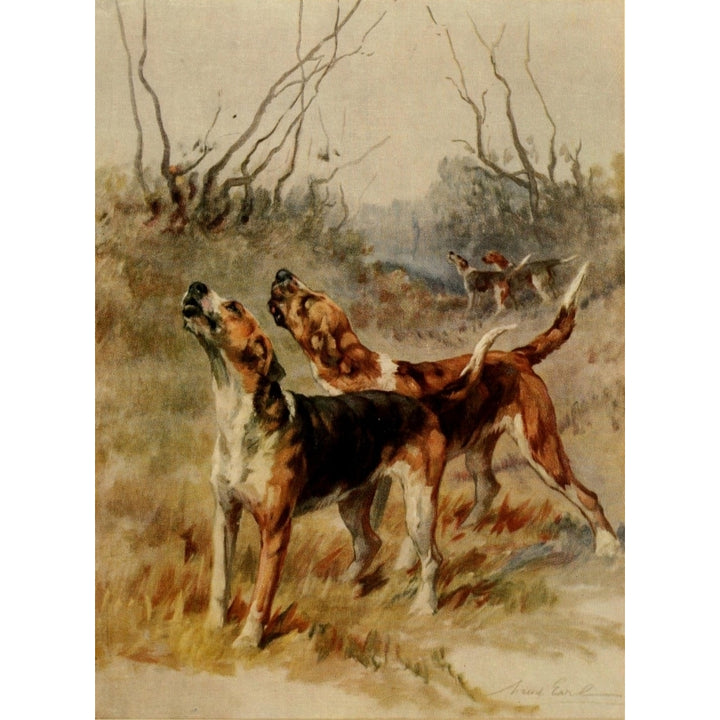 Power of the Dog 1910 Foxhounds Poster Print by Maud Earl Image 1