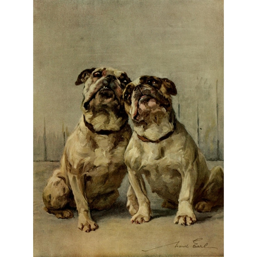 Power of the Dog 1910 Miniature Bulldog Poster Print by Maud Earl Image 1