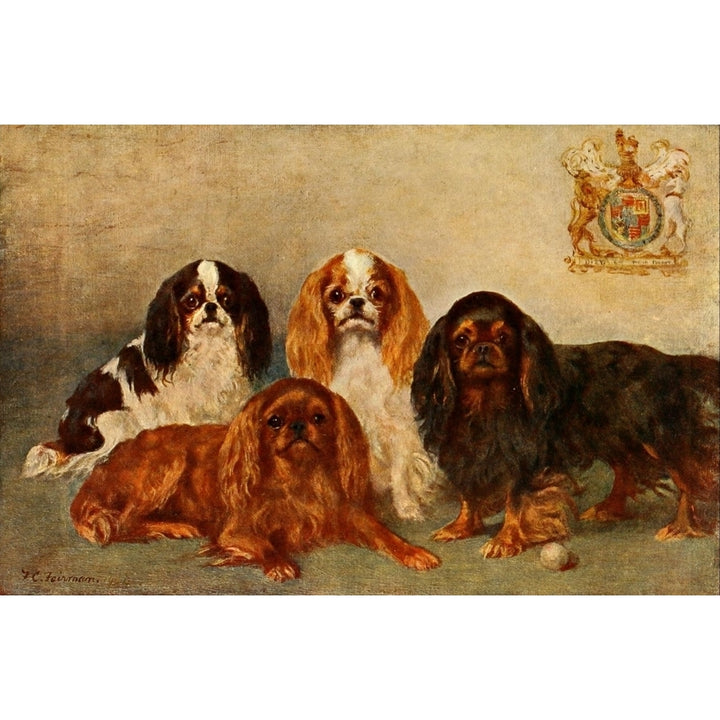 Book of the Dog 1911 King Charles Spaniels Poster Print by Frances C. Fairman Image 2