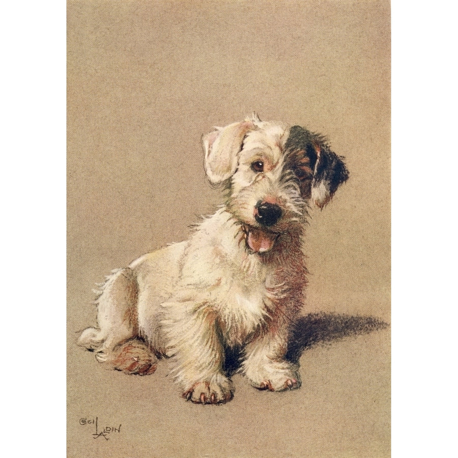 A Dozen Dogs or So 1928 Sealyham Terrier Poster Print by Cecil Aldin Image 1