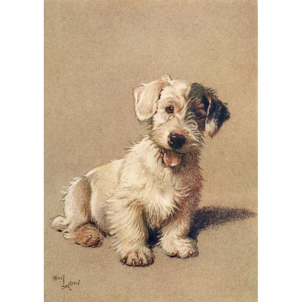 A Dozen Dogs or So 1928 Sealyham Terrier Poster Print by Cecil Aldin Image 2