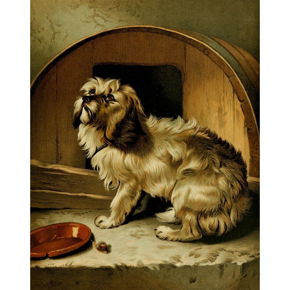 No Place Like Home Rough the Mongrel Poster Print by Edwin Landseer Image 1