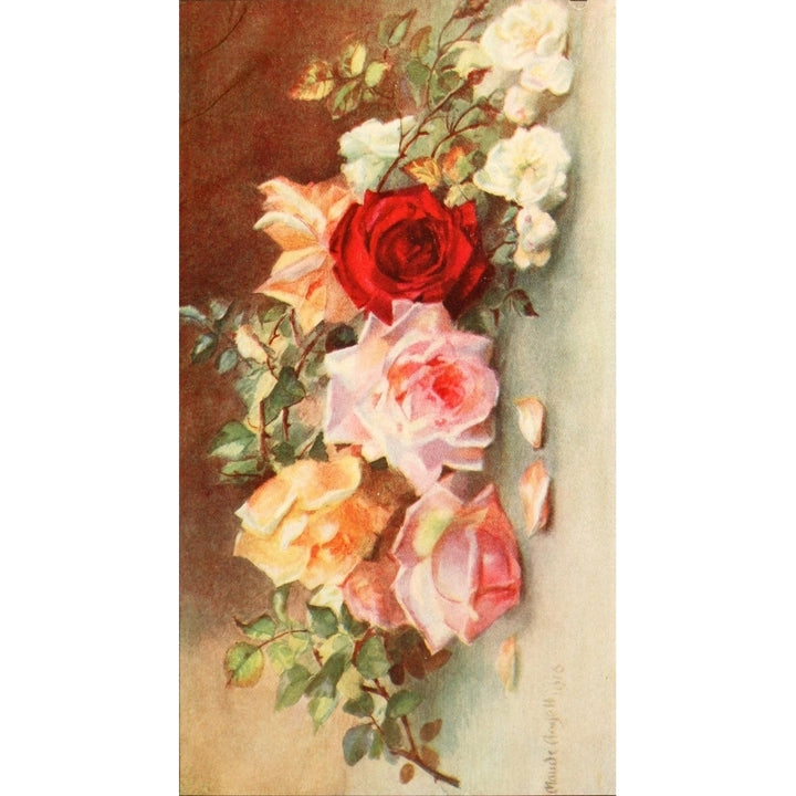 Flower Pictures 1914 Roses Poster Print by Maude Angell Image 1