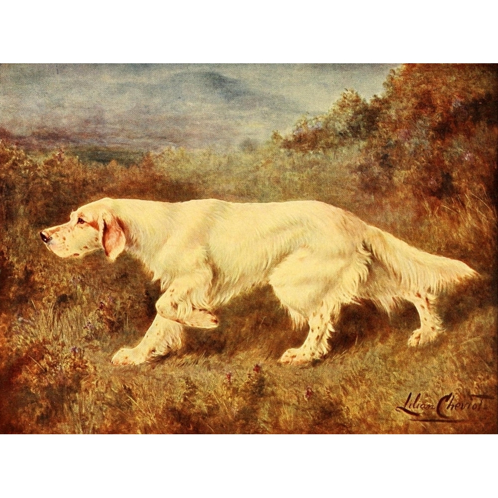 Book of the Dog 1911 English Setter Poster Print by Lilian Cheviot Image 1