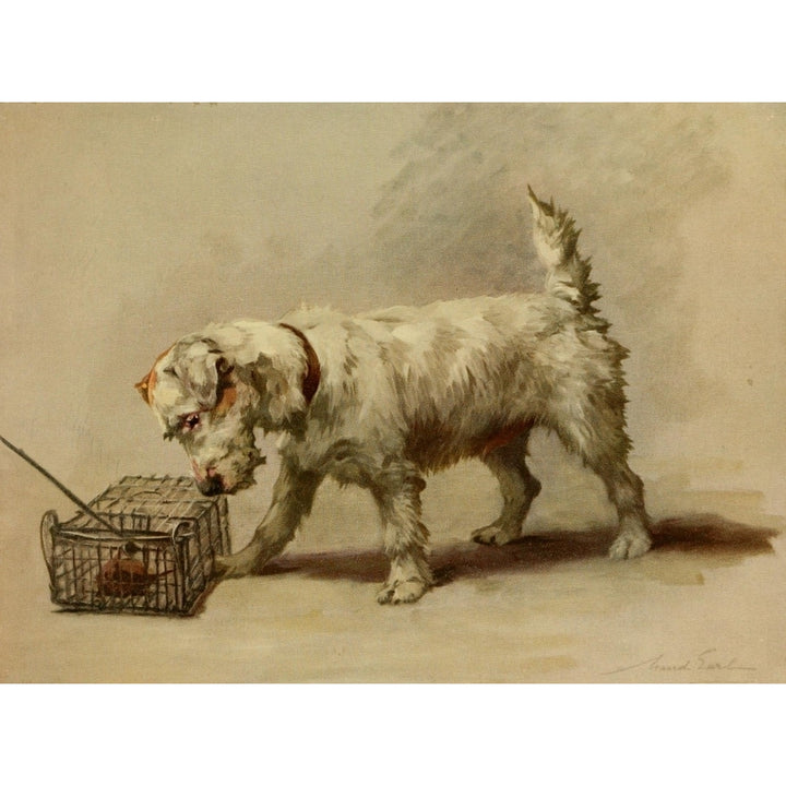 Power of the Dog 1910 Sealyham Terrier Poster Print by Maud Earl Image 1