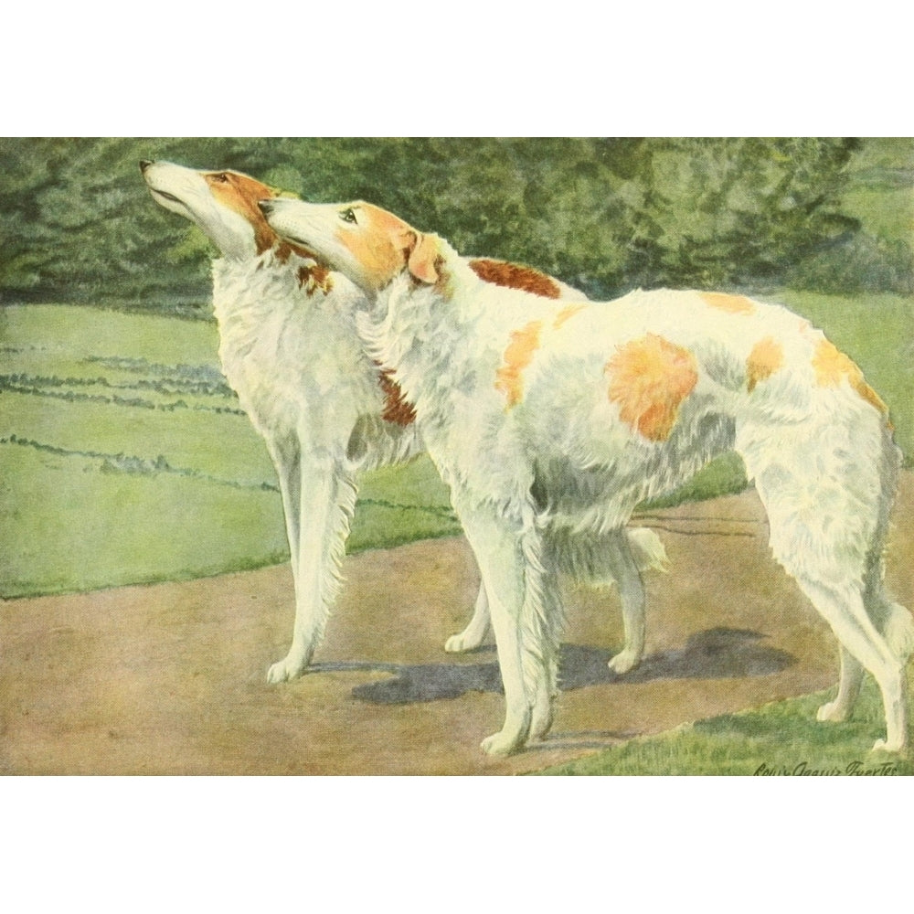 Book of Dogs 1919 Russian Wolfhound Poster Print by L.A. Fuertes Image 1