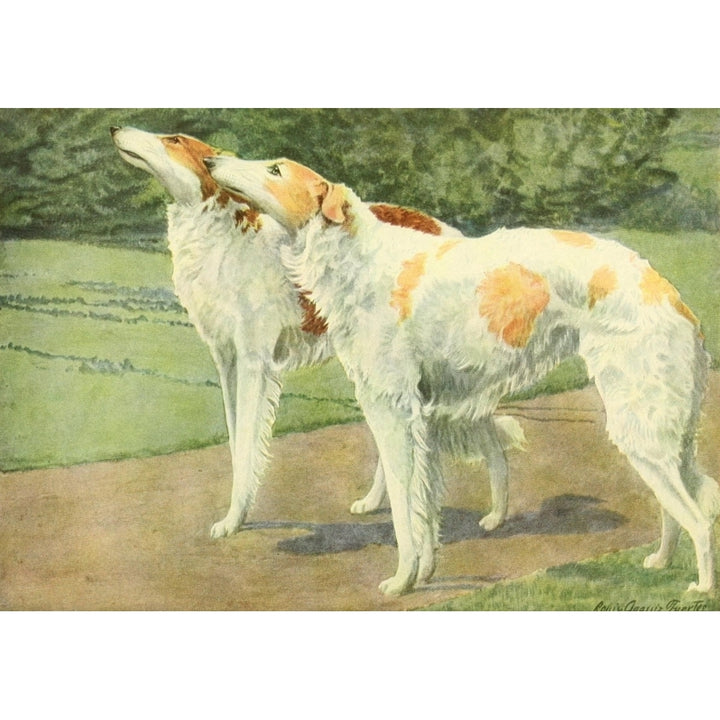 Book of Dogs 1919 Russian Wolfhound Poster Print by L.A. Fuertes Image 1