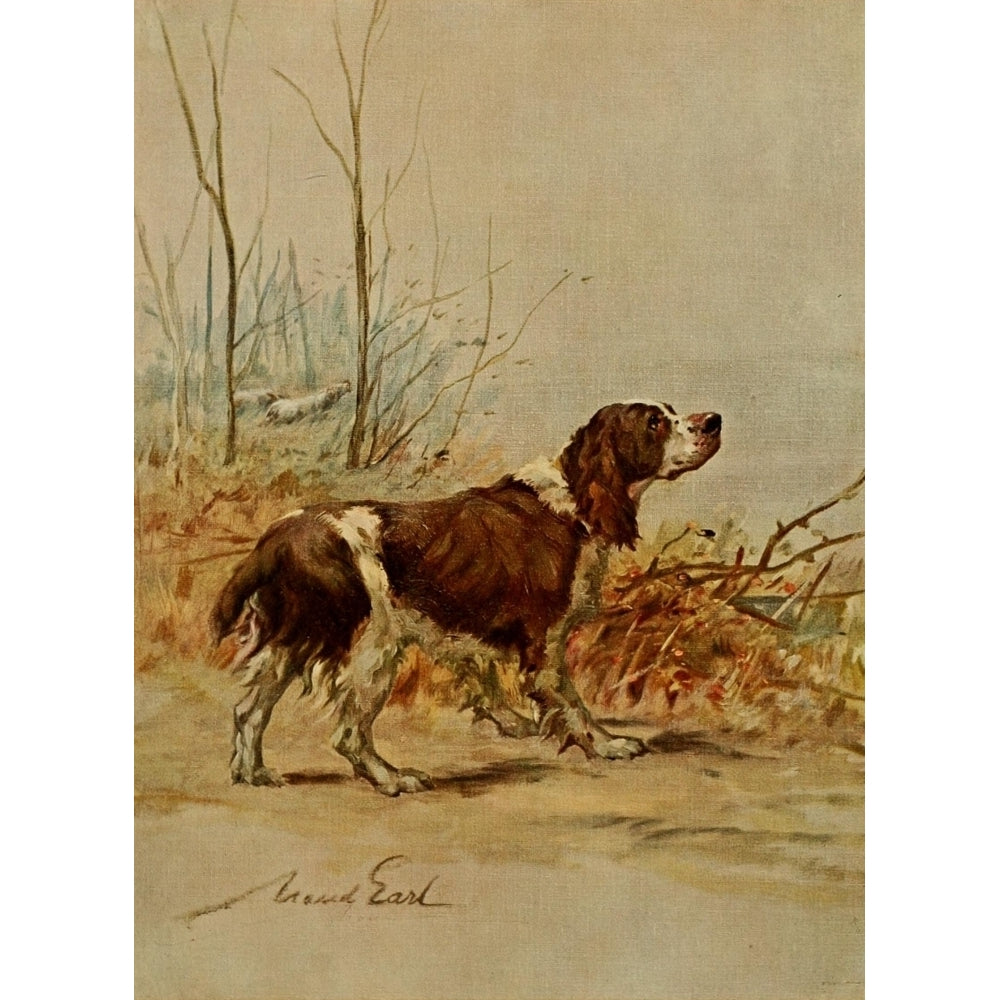 Power of the Dog 1910 English Springer Spaniel Poster Print by Maud Earl Image 2