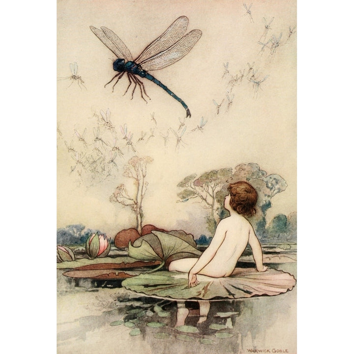 The Water-Babies 1909 A Dragonfly Poster Print by Warwick Goble Image 1