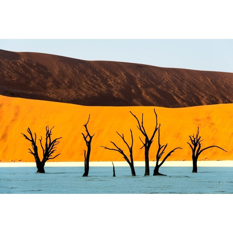 Dead trees in a desert Dead Vlei Sossusvlei Namib Desert Namib-Naukluft National Park Namibia Print by Panoramic Image 1